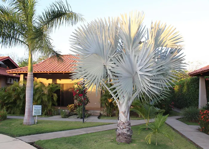 Apartamento Amazing Costa Rica